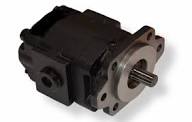 Gear Pump and Motor